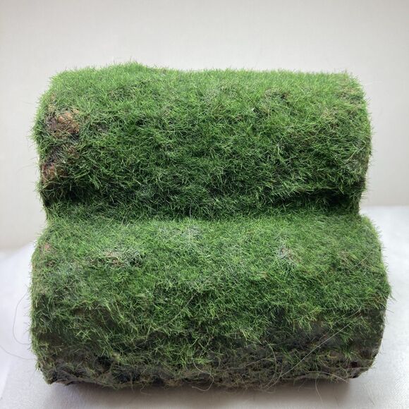 Penn-Plax Hideaway Pipes Aquarium Decoration Ornament Small 3"x3"x3" Territorial - Picture 7 of 8